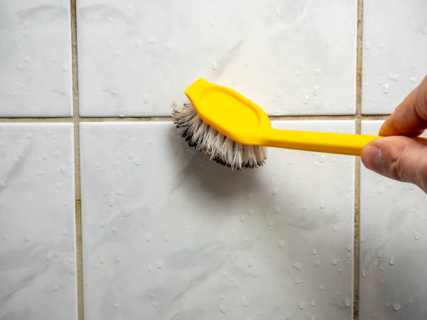 Best Insurance-Related Mold Remediation in Fayette, IA